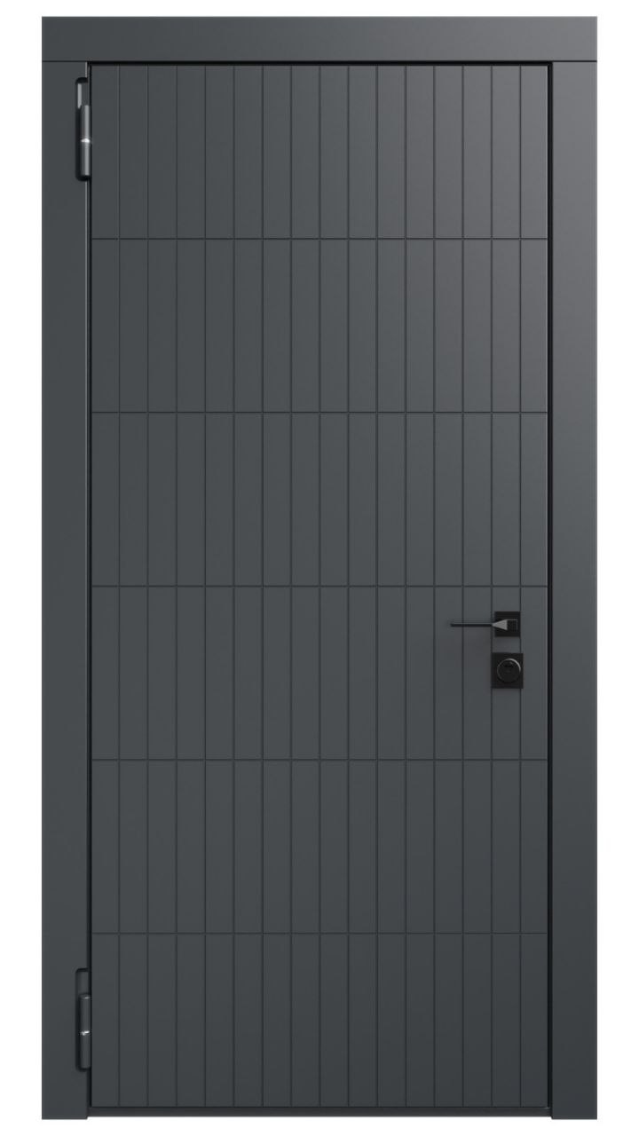 Дверь в квартиру RS99-9